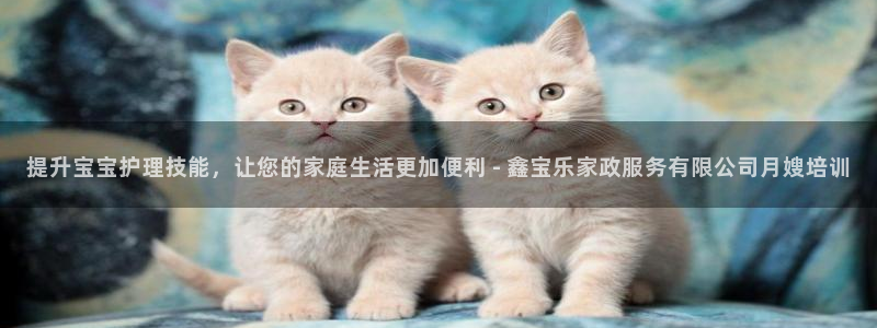 杏悦平台开户地址是什么