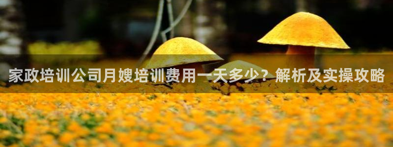 杏悦登陆地址