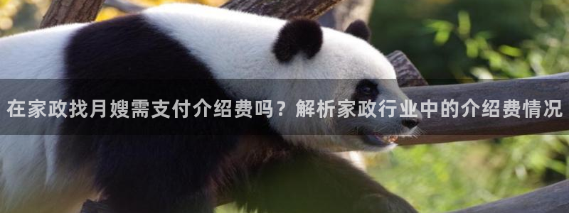 杏悦平台开户地址在哪里