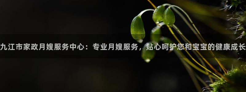 杏悦平台公司介绍