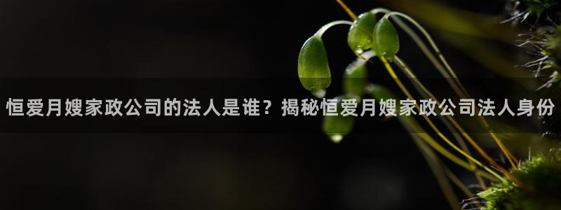 杏悦平台招商