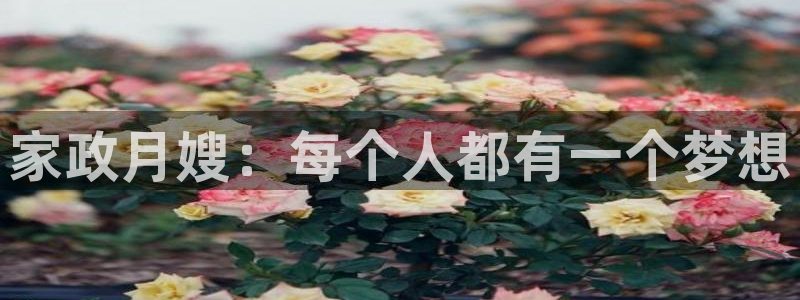 杏悦官网客服