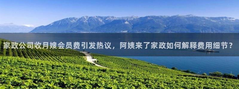 杏悦平台代理怎么做