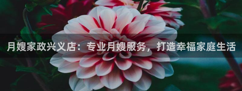 杏悦平台代理怎么赚钱