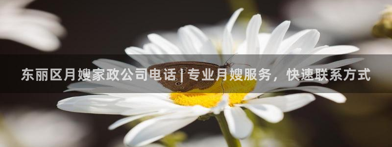 杏悦平台招商电话