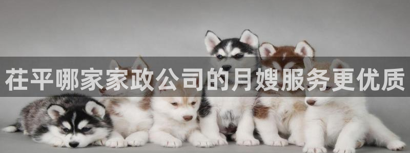 杏悦平台招商