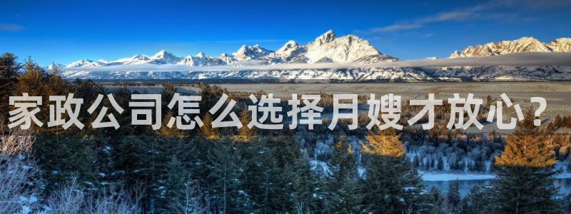 杏悦平台代理怎么赚钱
