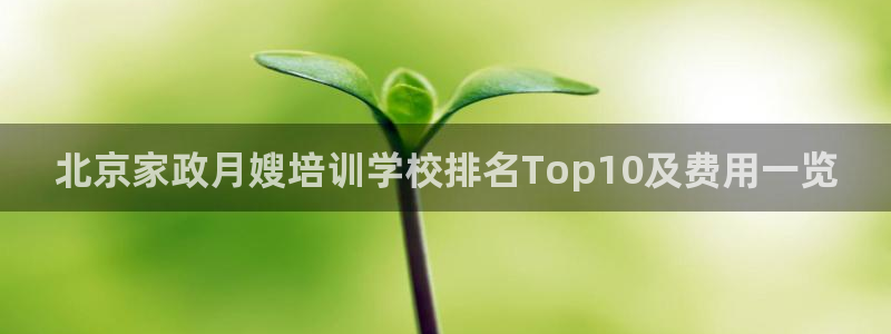 杏悦1招商地址