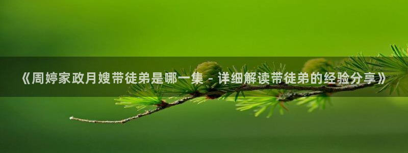 杏悦平台代理怎么样可靠吗