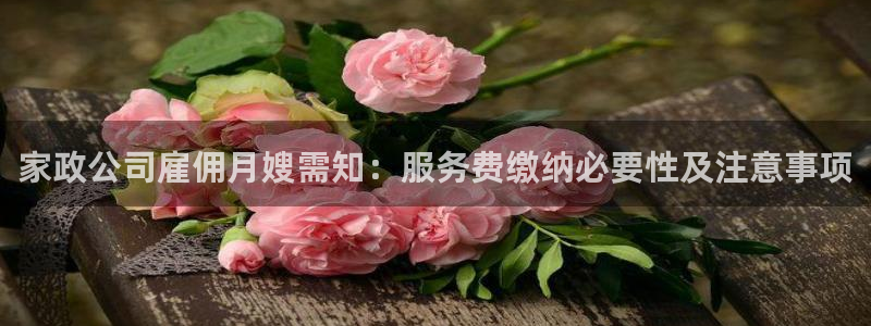 杏悦平台招商怎么样