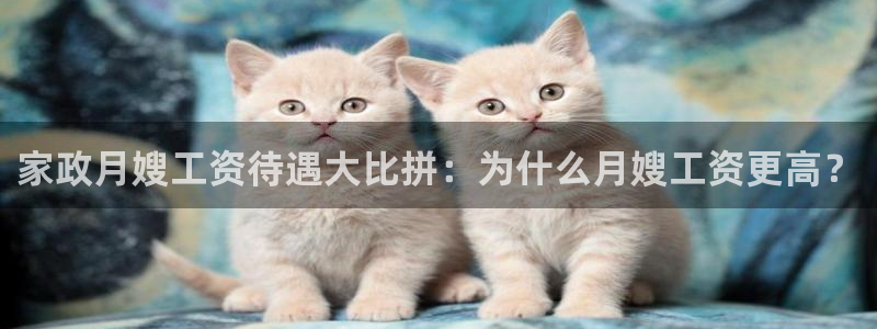 杏悦平台代理怎么赚钱的