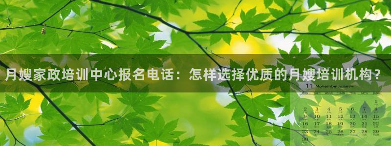 杏悦平台代理怎么做