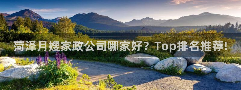 杏悦平台登陆