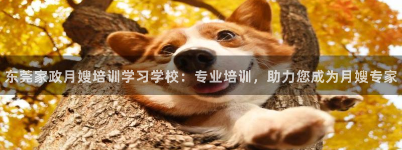 杏悦娱乐怎么玩