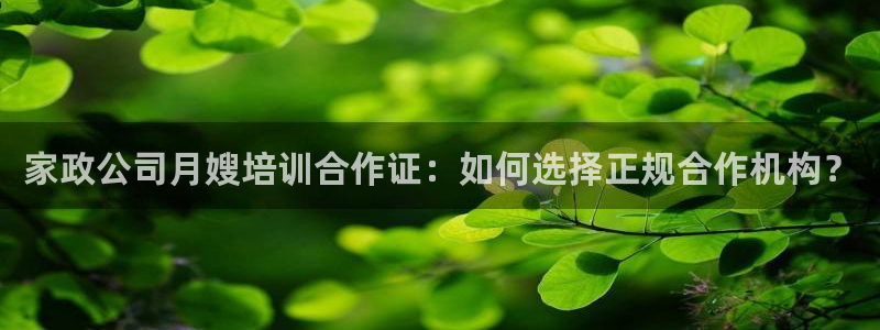 杏悦平台代理怎么样可靠吗