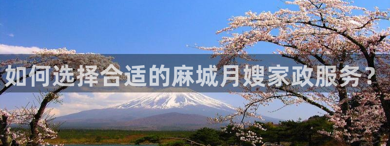 杏悦平台招商电话