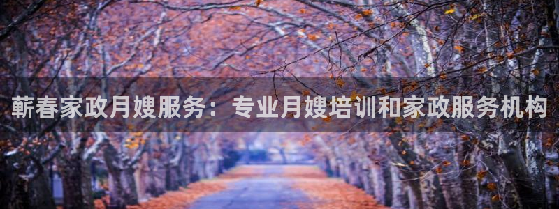 杏悦平台代理怎么样