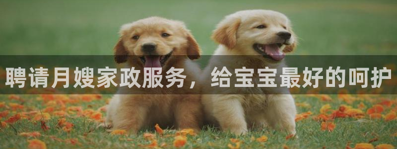 杏悦娱乐怎么玩