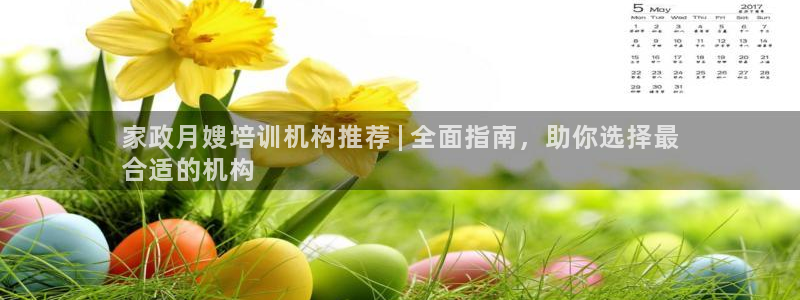 杏悦是什么平台