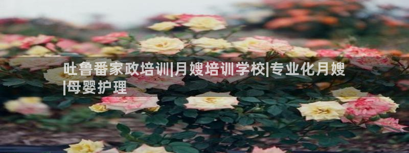 杏悦官方平台是正品吗