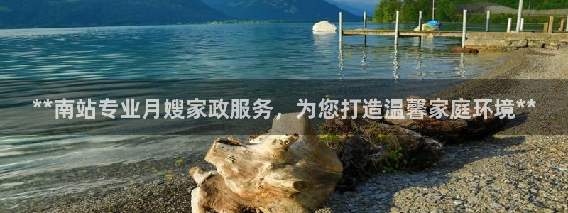 杏悦招商地址