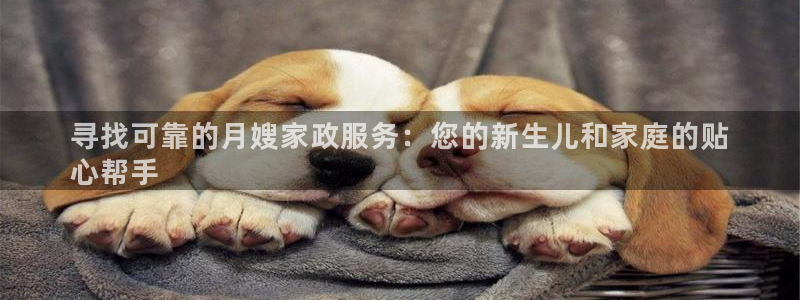 杏悦平台开户地址在哪里