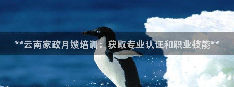 杏悦平台代理怎么样赚钱