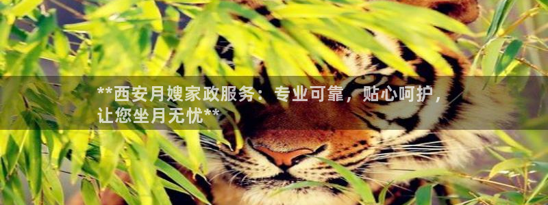 杏悦官方平台官网下载