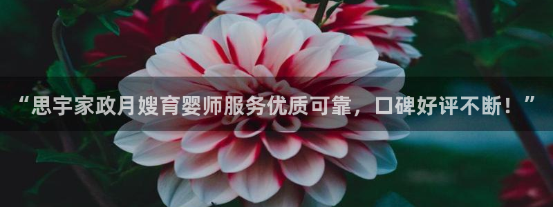 杏悦娱乐怎么玩