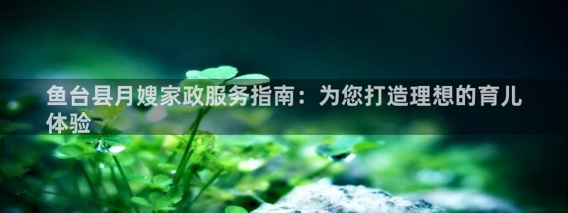 杏悦平台登陆