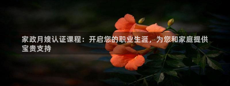 杏悦平台代理怎么样啊
